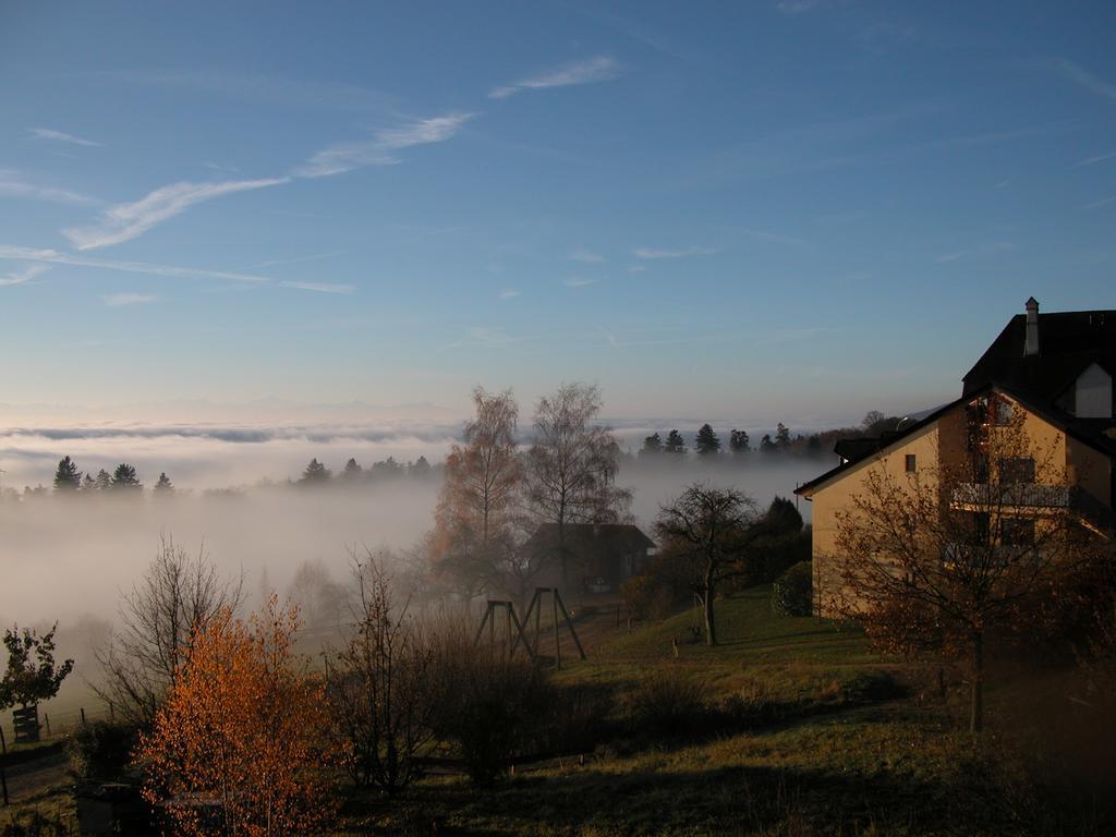 Ecohotel L'aubier 3*