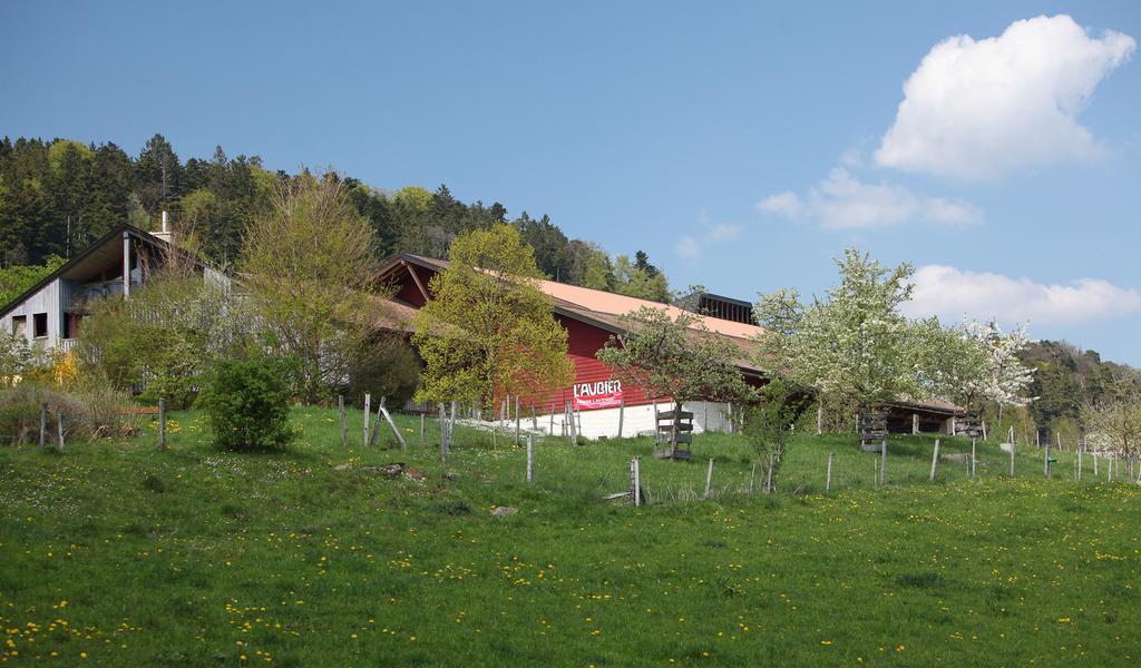 Ecohotel L'aubier Montezillon