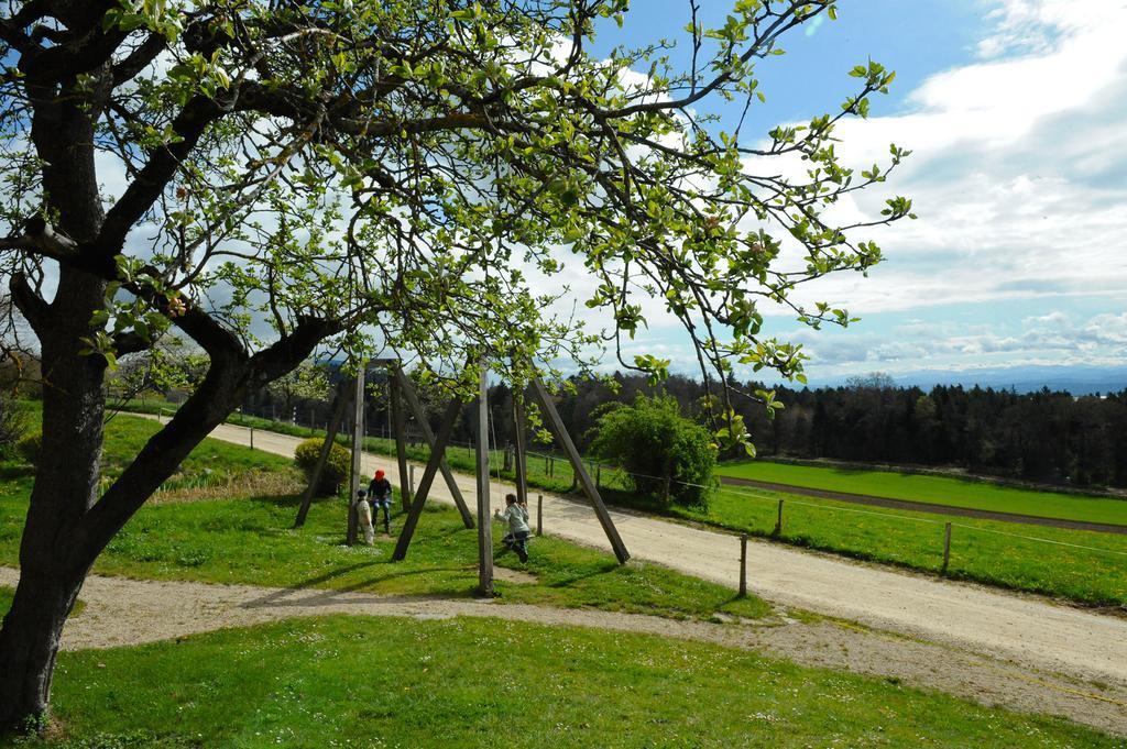 Ecohotel L'aubier Montezillon